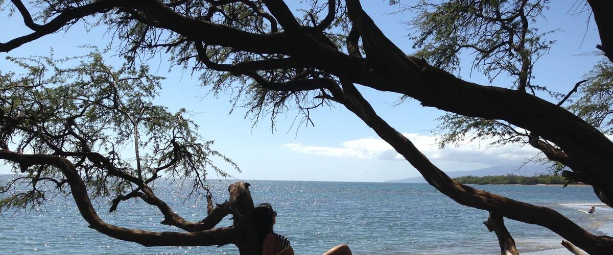 This was a great local spot for snorkeling and much less crowded than the main beaches.  You literally park alongside the road at mile marker 14 and walk out onto the beach.  Close to shore the water is a little cloudy but if you swim about 50 yards out, the depth increases to about 15 feet and you have clear views of some amazing fish 🐠🐟