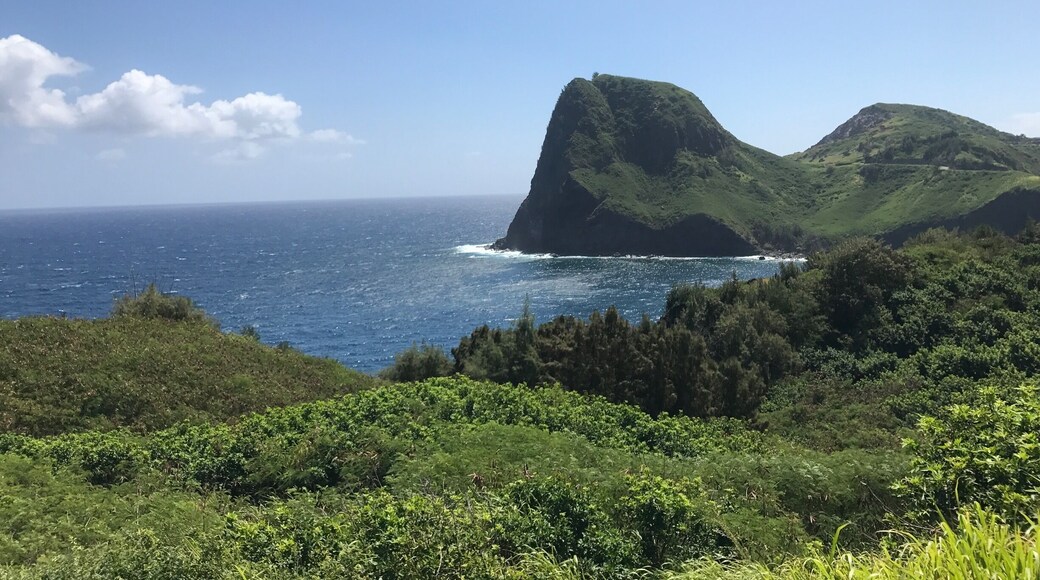 Tour is at its best when toured by local friends. All you do is soak yourself at the endless beauty of the place. 👌👍