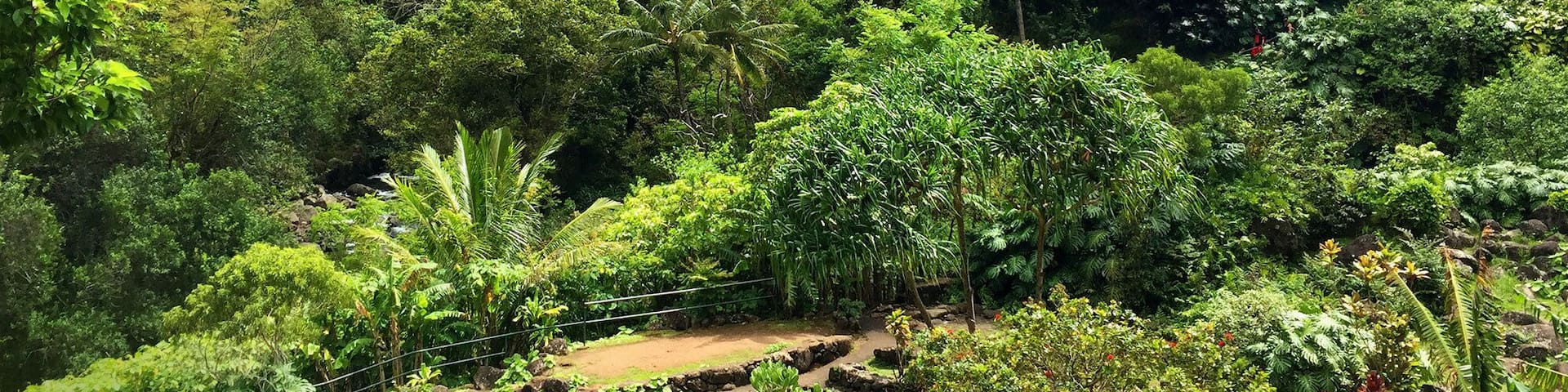 One of the most sacred spots on the island, ‘Iao Valley—a National Natural Landmark whose biggest claim to fame is the 1,200 foot-high lava spire at its center—presents one photo opp after another, from lush vegetation along its valley floors to extensive views of the weathered central coast. As the site of one of Hawaii’s most brutal wars—the Battle of Kepaniwai in 1790—it’s rumored that its stream waters once ran red with the blood of victims. Poignancy is felt in the air here, but the same waters are now lucid and lovely, jutting up against moss-covered boulders and rocks that seem to dance between shadow and light. 4,000 acres of tranquility are enhanced by a steep but worthwhile climb up 133 steps, where you’ll be presented with 360-degrees vistas that practically beg to be captured. Plants abound on its Lookout Trail and Ethnobotanical Trail, but as “cloud supreme” (to which ‘Iao’s Hawaiian name translates), do know it’s best to arrive in the morning before the fog arrives. If you’d like to supplement your trip to the park with guided assistance, look no further than Valley Isle Excursions, whose tour of ‘Iao also includes a stop at Kepaniwai Heritage Gardens—a public space that honors the myriad cultures that shaped modern Maui.
https://www.tourmaui.com/tours/haleakala-maui-tour/