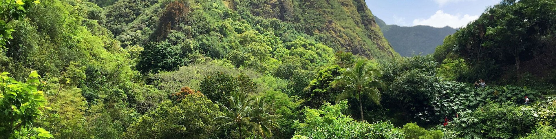 One of the most sacred spots on the island, ‘Iao Valley—a National Natural Landmark whose biggest claim to fame is the 1,200 foot-high lava spire at its center—presents one photo opp after another, from lush vegetation along its valley floors to extensive views of the weathered central coast. As the site of one of Hawaii’s most brutal wars—the Battle of Kepaniwai in 1790—it’s rumored that its stream waters once ran red with the blood of victims. Poignancy is felt in the air here, but the same waters are now lucid and lovely, jutting up against moss-covered boulders and rocks that seem to dance between shadow and light. 4,000 acres of tranquility are enhanced by a steep but worthwhile climb up 133 steps, where you’ll be presented with 360-degrees vistas that practically beg to be captured. Plants abound on its Lookout Trail and Ethnobotanical Trail, but as “cloud supreme” (to which ‘Iao’s Hawaiian name translates), do know it’s best to arrive in the morning before the fog arrives. If you’d like to supplement your trip to the park with guided assistance, look no further than Valley Isle Excursions, whose tour of ‘Iao also includes a stop at Kepaniwai Heritage Gardens—a public space that honors the myriad cultures that shaped modern Maui.
https://www.tourmaui.com/tours/haleakala-maui-tour/