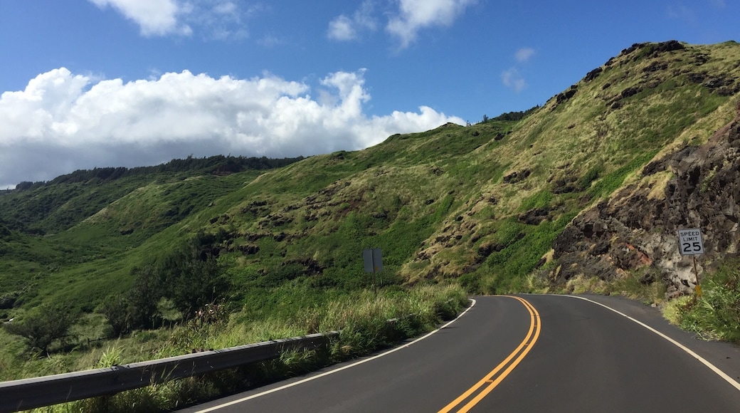 When in doubt , take the scenic route.