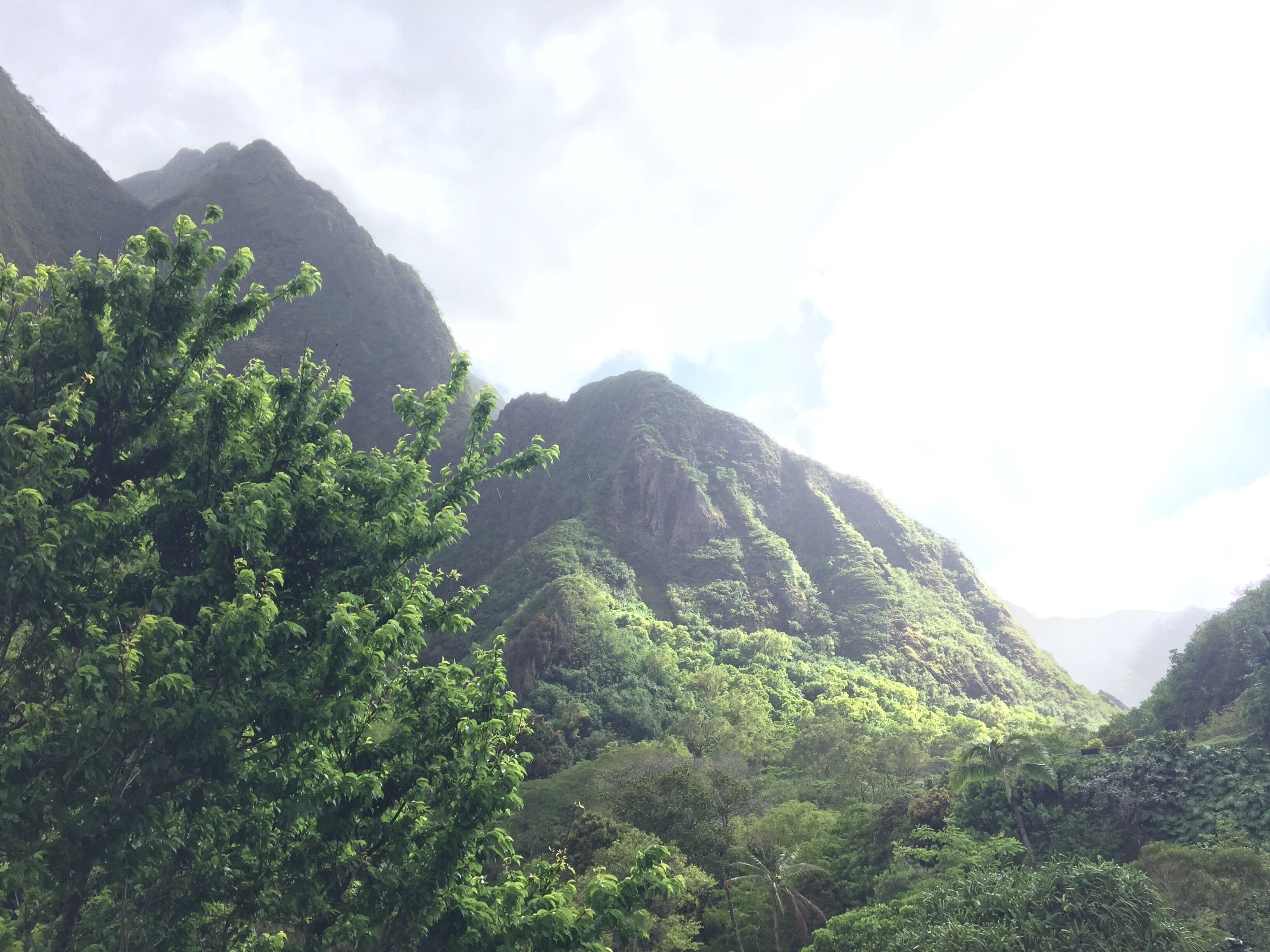 The soft lighting 😍. Total eye candy.  #culture