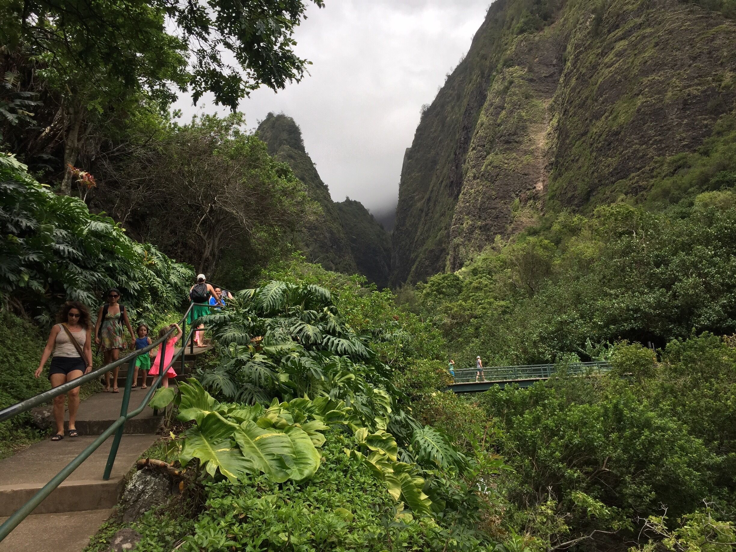 This was our first stop in Maui, definitely a must see!! 