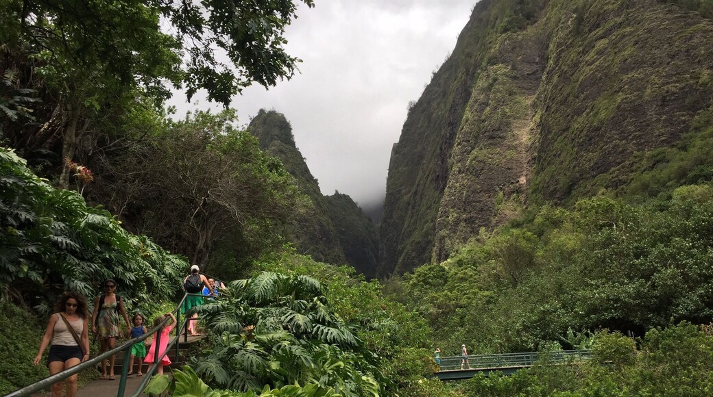 This was our first stop in Maui, definitely a must see!!