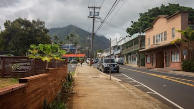 Wailuku