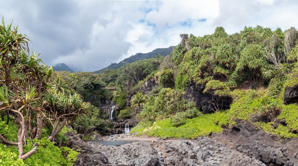Panorama of the beautiful Seven Sacred Pools near Hana
