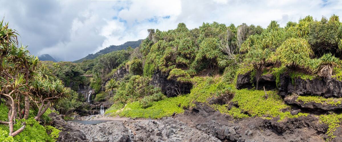 A lush landscape with a river, rocky cliffs, and dense vegetation.