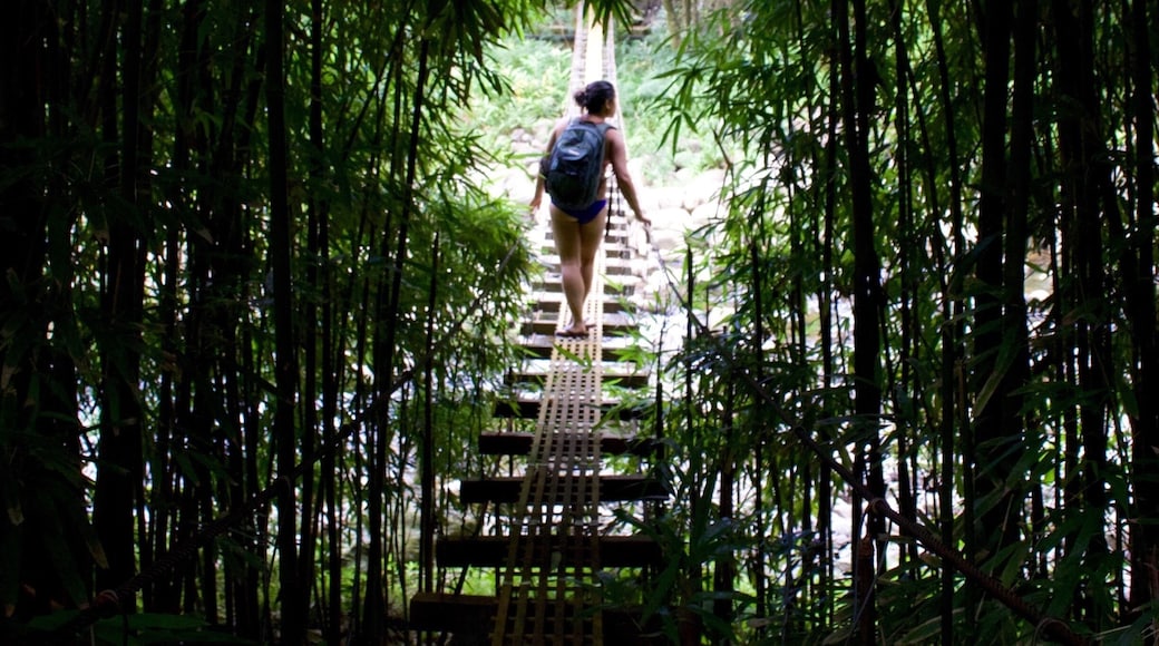 Girlfriend at Swinging bridges Waihee Maui.