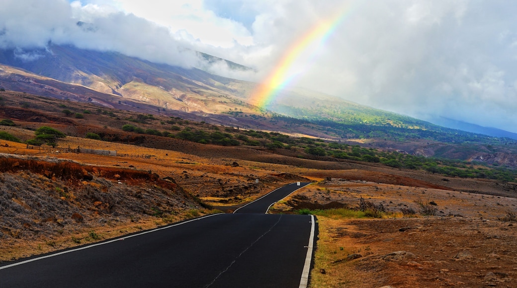 Last leg of the Road to Hana.
#adventure
#hawaii
#travel
#photocontest