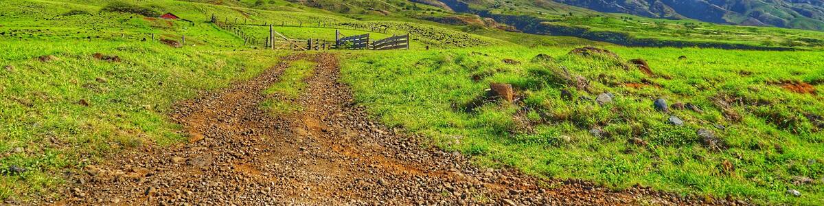 On the west side road to Hana. Amazing mountains higher than the clouds
