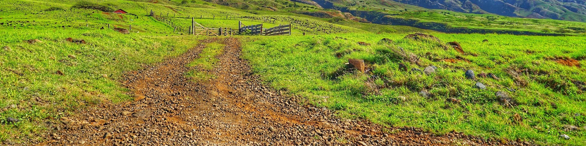 On the west side road to Hana. Amazing mountains higher than the clouds
