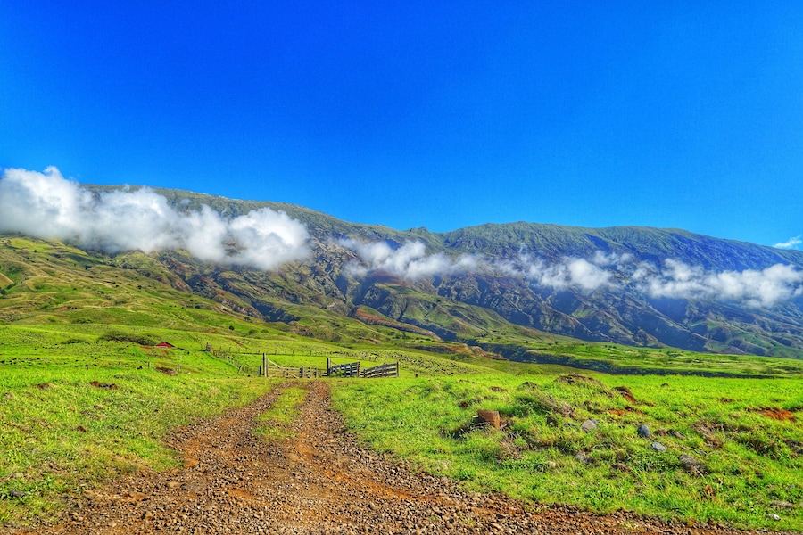 On the west side road to Hana. Amazing mountains higher than the clouds