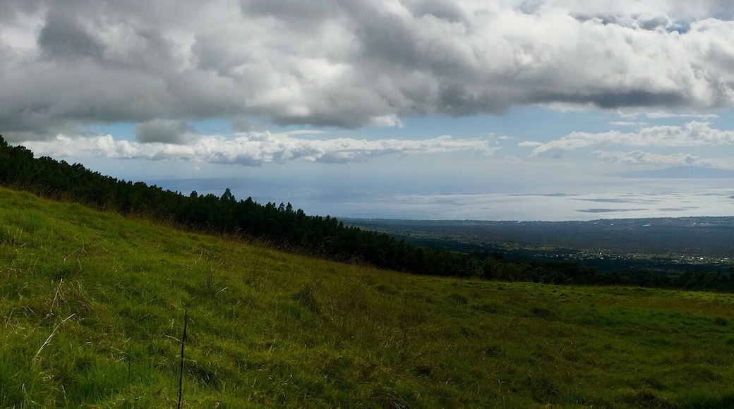Nature's Palette - Exploring Ali'i Kula Lavender Farm in Kula, Maui, HI