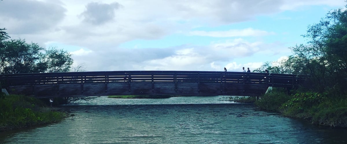 In Maui Hawaii