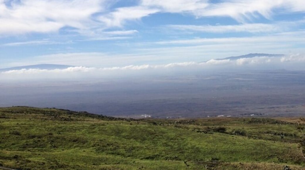 Kahikinui Forest Reserve
