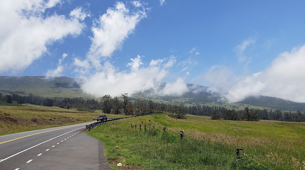 Driving up a volcano in the clouds. #BVSBlue The views are fantastic.