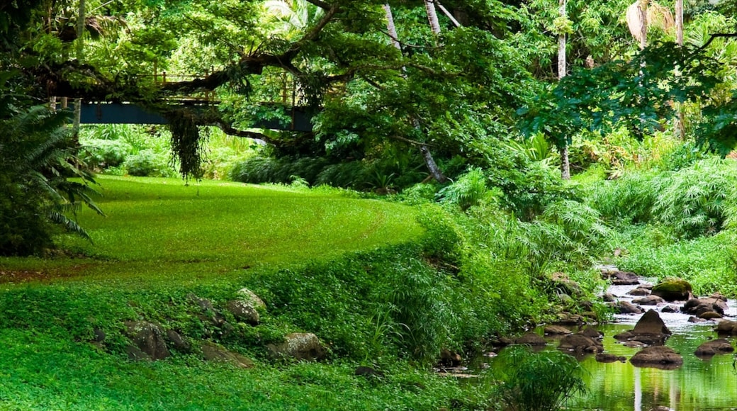 Kalaheo showing a river or creek and a park