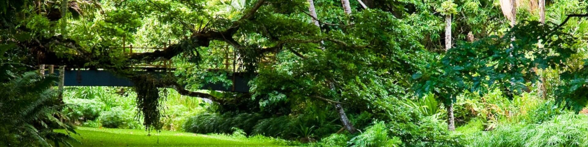 Kalaheo which includes a park and a river or creek