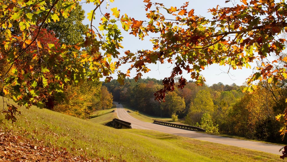 Natchez Trace Parkway, Tennessee and Mississippi, USA