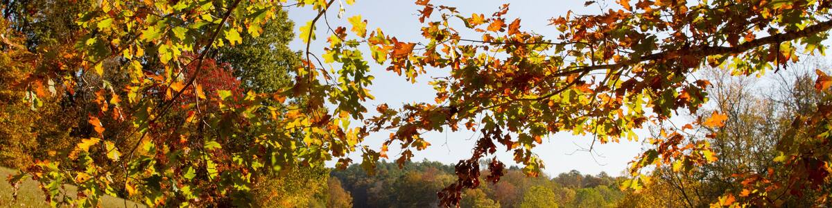 Natchez Trace Parkway, Tennessee and Mississippi, USA