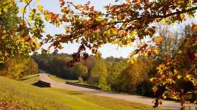 Natchez Trace Parkway, Tennessee and Mississippi, USA