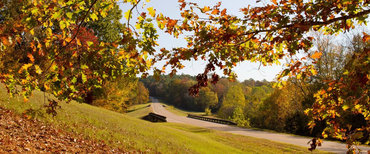 A winding road through a forest with autumn leaves.