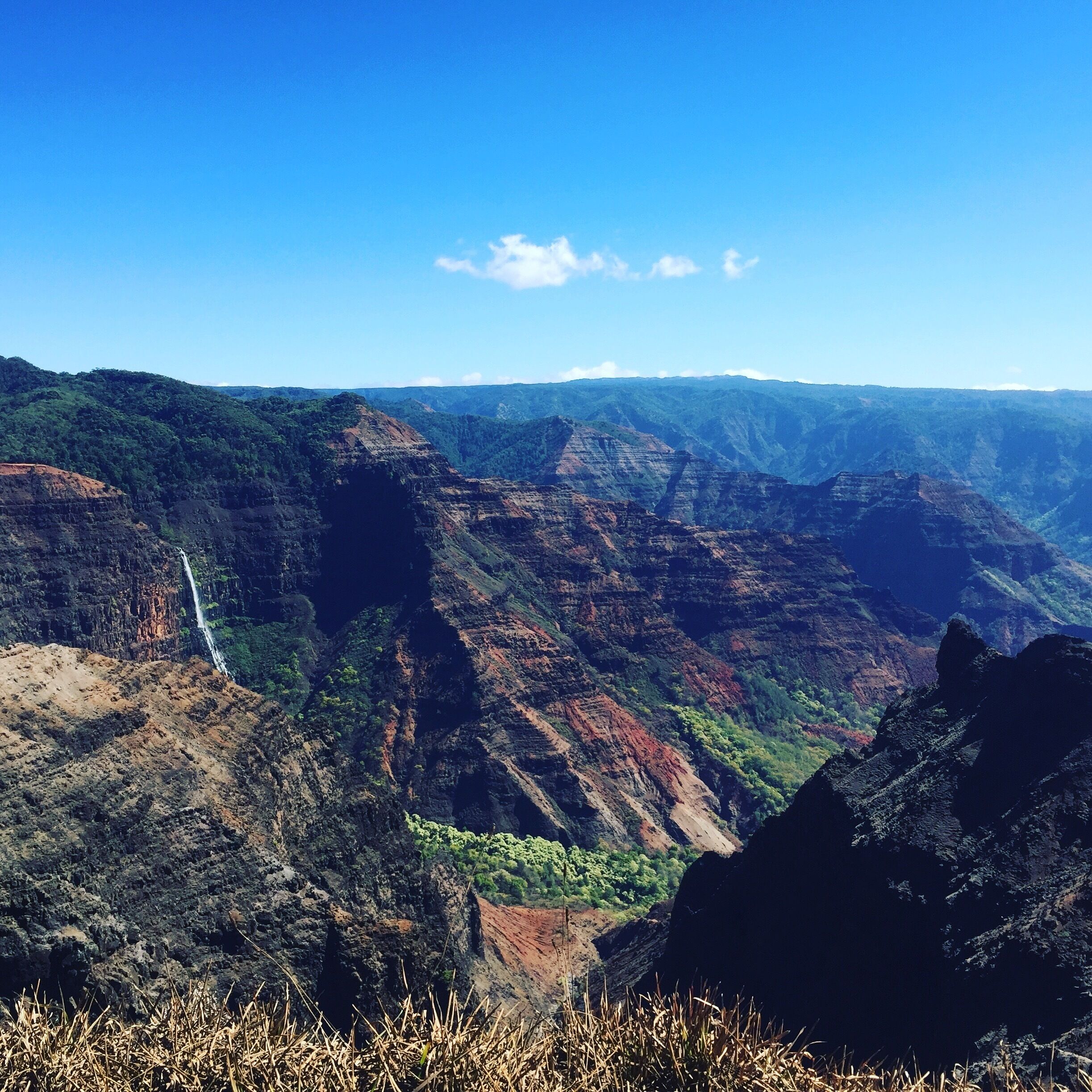 A canyon with a waterfall and lush greenery.