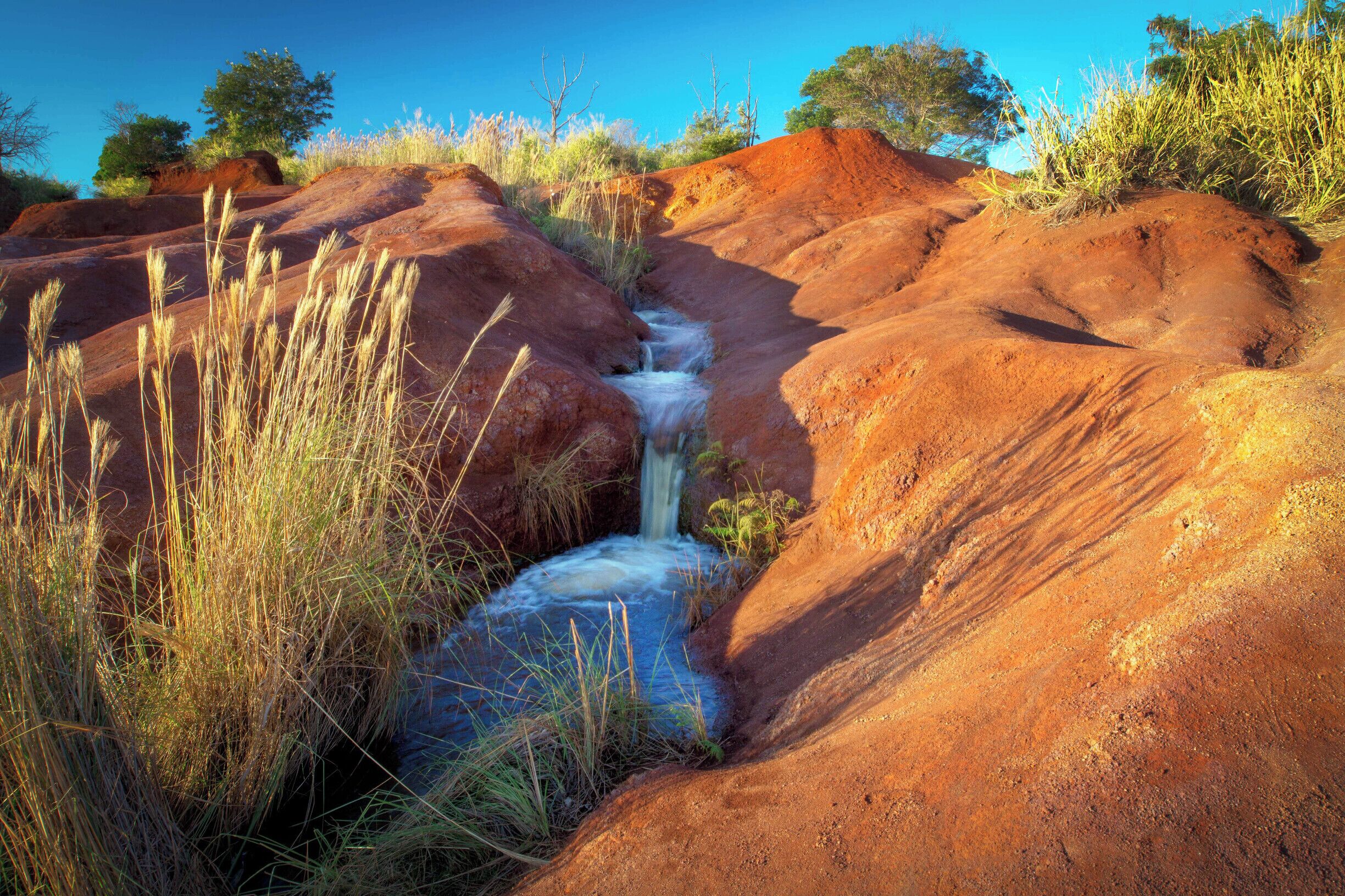 I never expected to find this lovely stream flowing down from Waimea Canyon but the red earth caught my attention from the road and a very short hike revealed a wonderland.