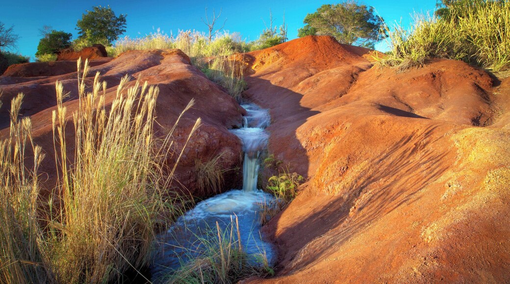 I never expected to find this lovely stream flowing down from Waimea Canyon but the red earth caught my attention from the road and a very short hike revealed a wonderland.