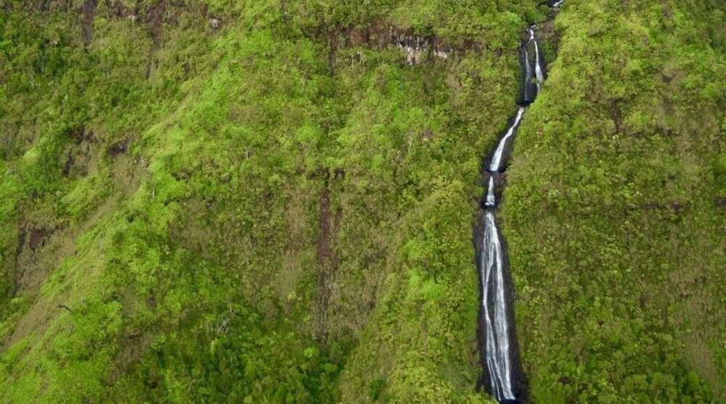 A waterfall from the wettest spot in Hawaii. They promote this as the wettest spot on earth, but a little research raises some doubts about that claim. Either way I can tell you there were rain clouds covering the peak every time I saw it!