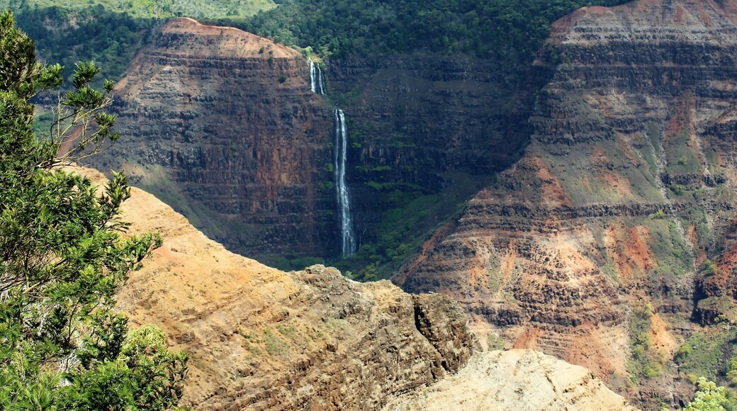 We rented a jeep to driver out to the canyon. It was totally worth the trip!