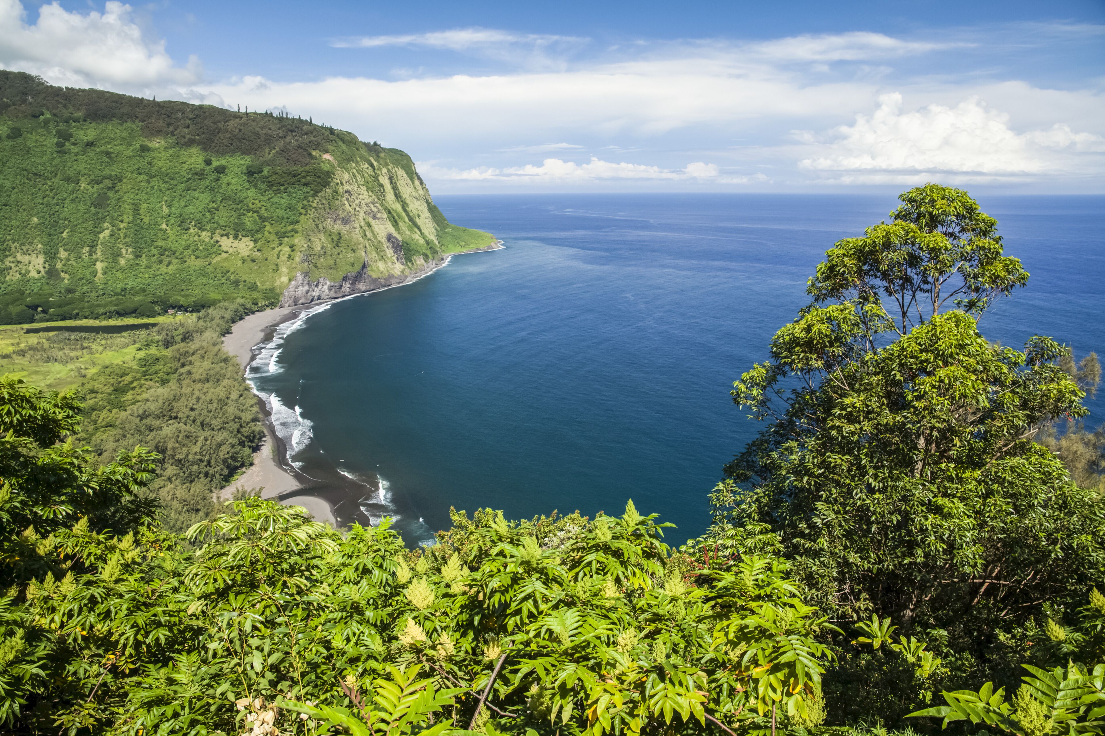 A coastal landscape with a cliff, ocean, and dense greenery.