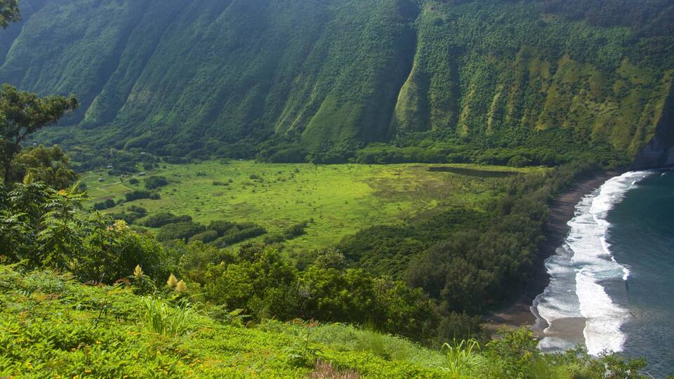 A lush green valley with a coastline.