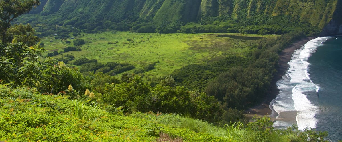 Honokaa showing general coastal views