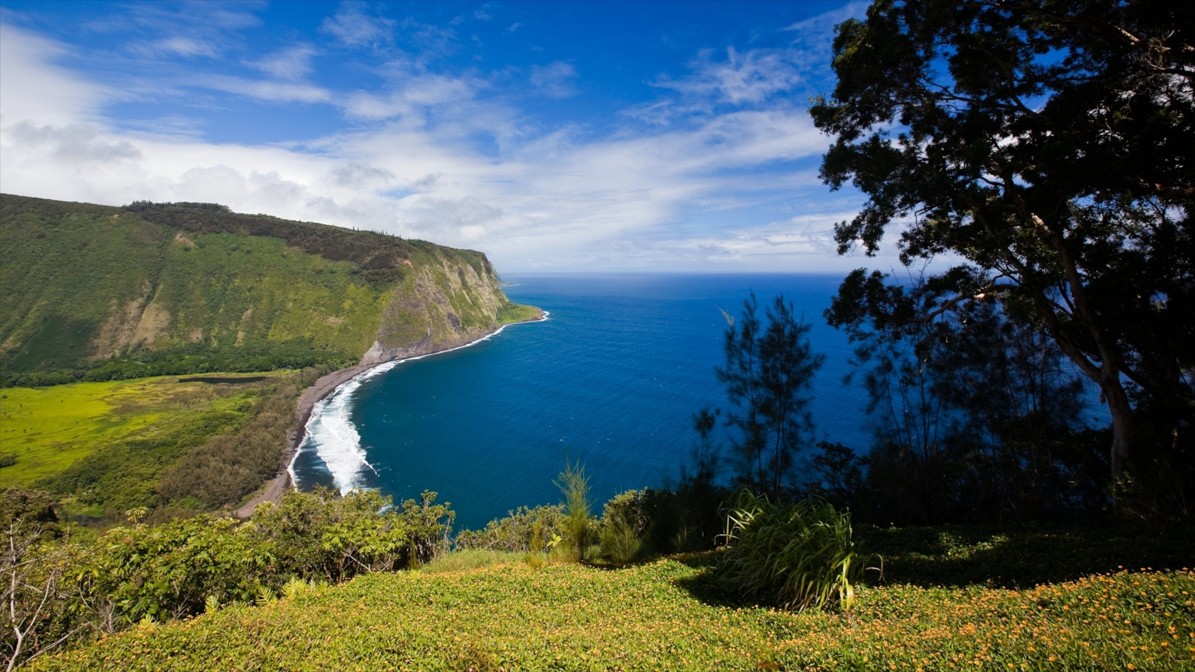 Honokaa featuring landscape views, a gorge or canyon and general coastal views