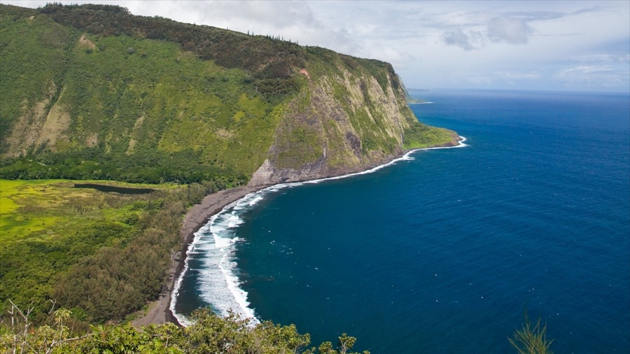 Honokaa showing general coastal views, landscape views and a gorge or canyon