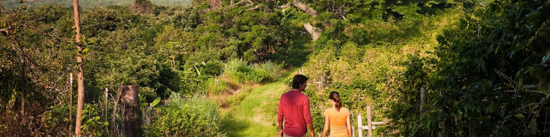 Kealakekua presenterar vandring och stillsam natur sÄvÀl som ett par