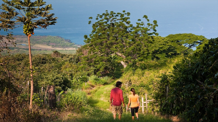 Kealakekua showing hiking or walking and tranquil scenes as well as a couple