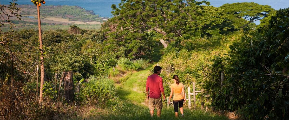 A man and a woman walking on a grassy path surrounded by lush greenery and trees, overlooking a coastal landscape.
