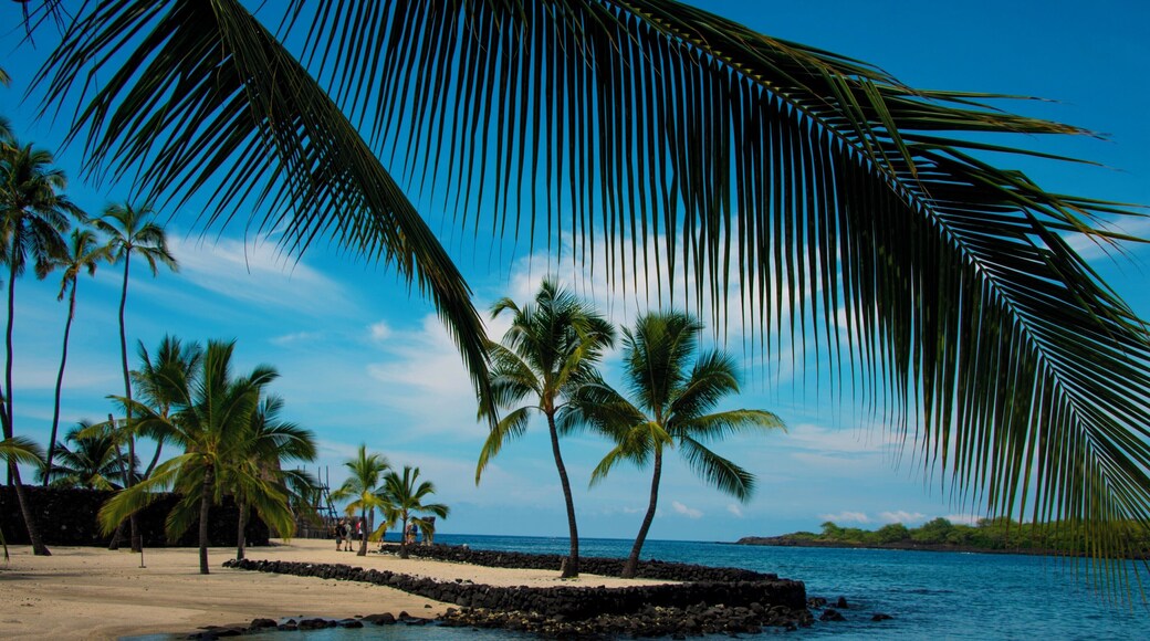 Puʻuhonua o Hōnaunau National Historical Park is a 420 acre wonder filled with historic exploration and natural wonders.
#LifeAtExpedia