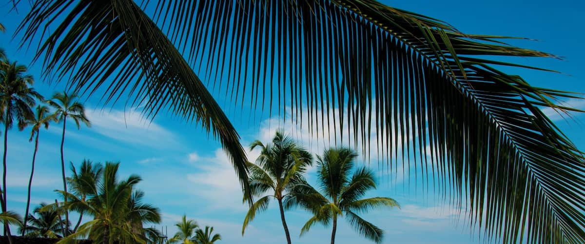 Puʻuhonua o Hōnaunau National Historical Park is a 420 acre wonder filled with historic exploration and natural wonders.
#LifeAtExpedia