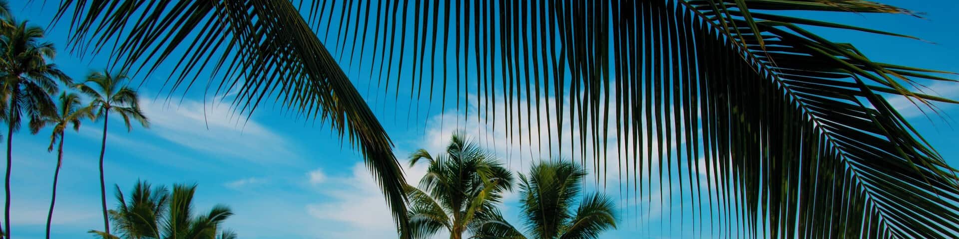 Puʻuhonua o Hōnaunau National Historical Park is a 420 acre wonder filled with historic exploration and natural wonders.
#LifeAtExpedia