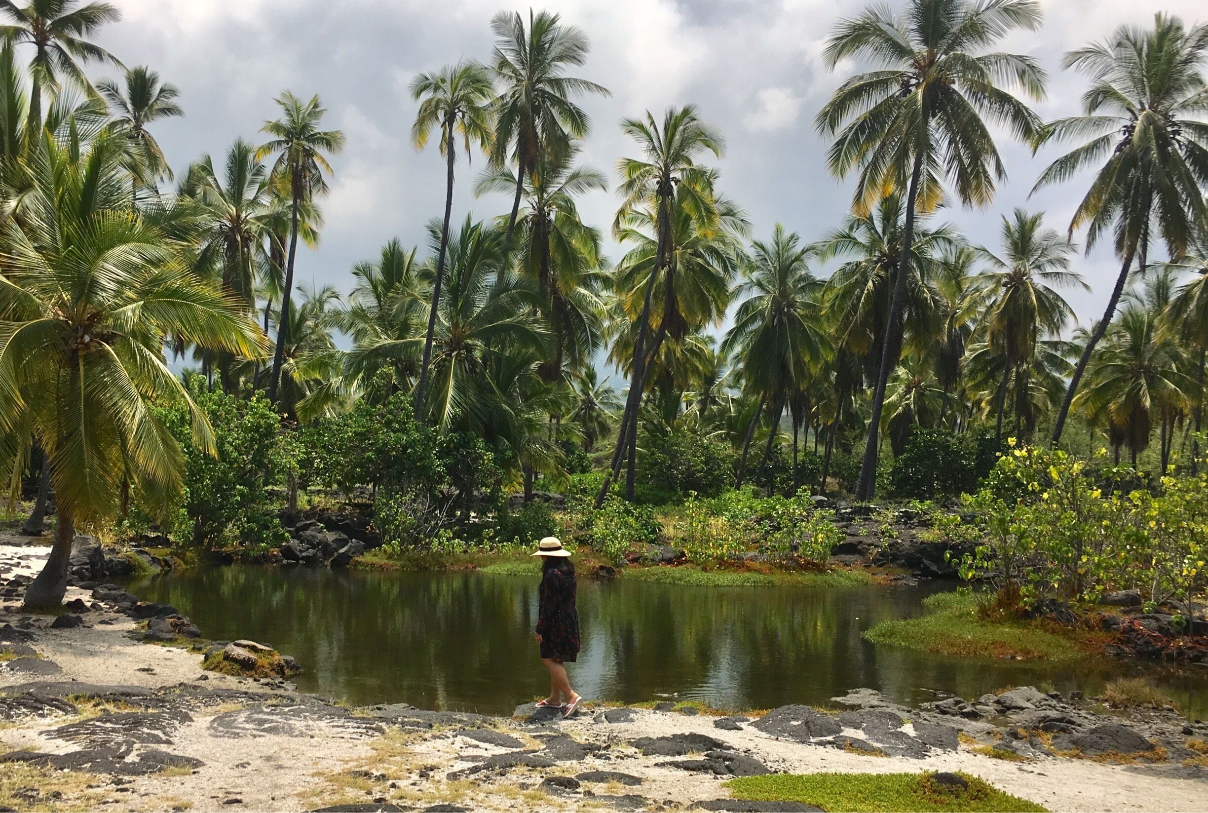 Also Known as The Place of Refuge, an unforgettable introduction to Hawaiian Culture🌺🌴
