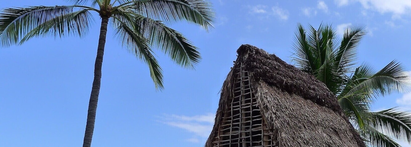 A glimpse into the life of the old Hawaiian kings