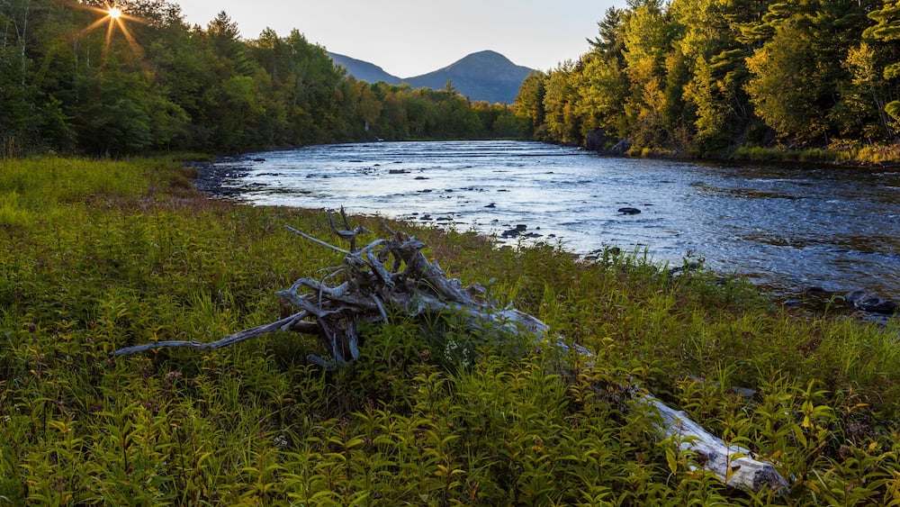 East Branch of the Penobscot River at Stair Falls in Maine's Northern Forest. Adjacent to the International Appalachian Trail.