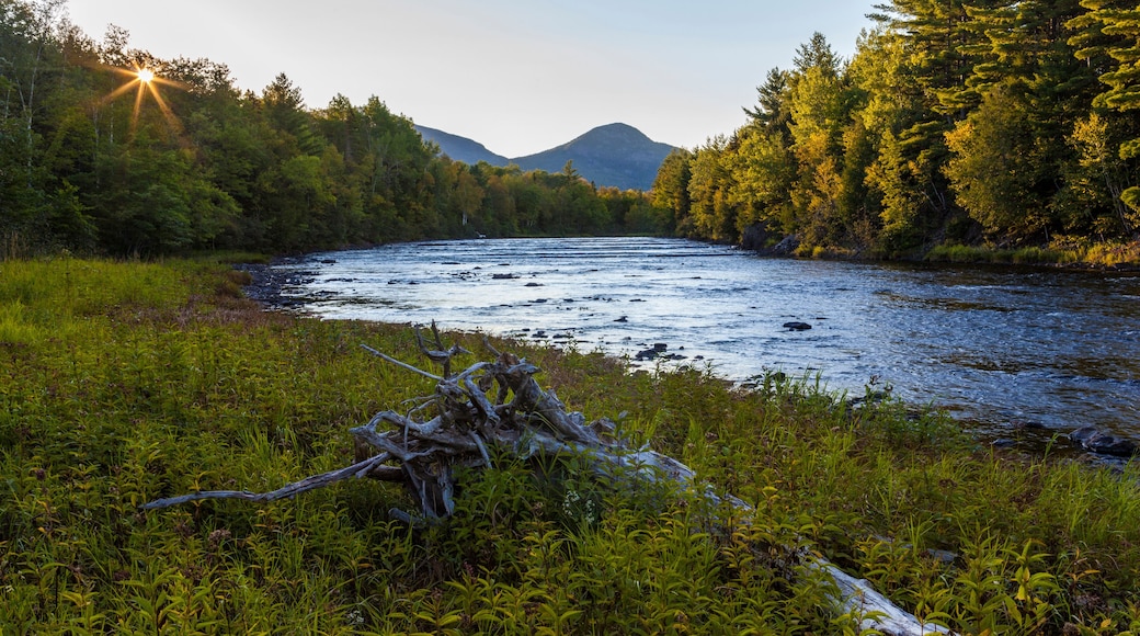 East Branch of the Penobscot River at Stair Falls in Maine's Northern Forest. Adjacent to the International Appalachian Trail.