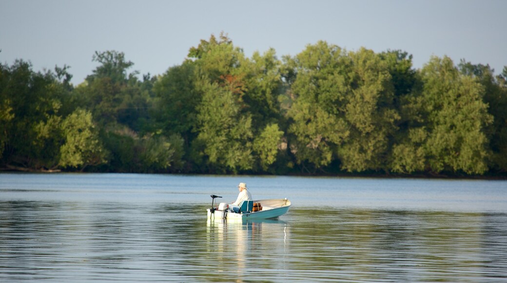 Erie mostrando un lago o abrevadero y una ciudad
