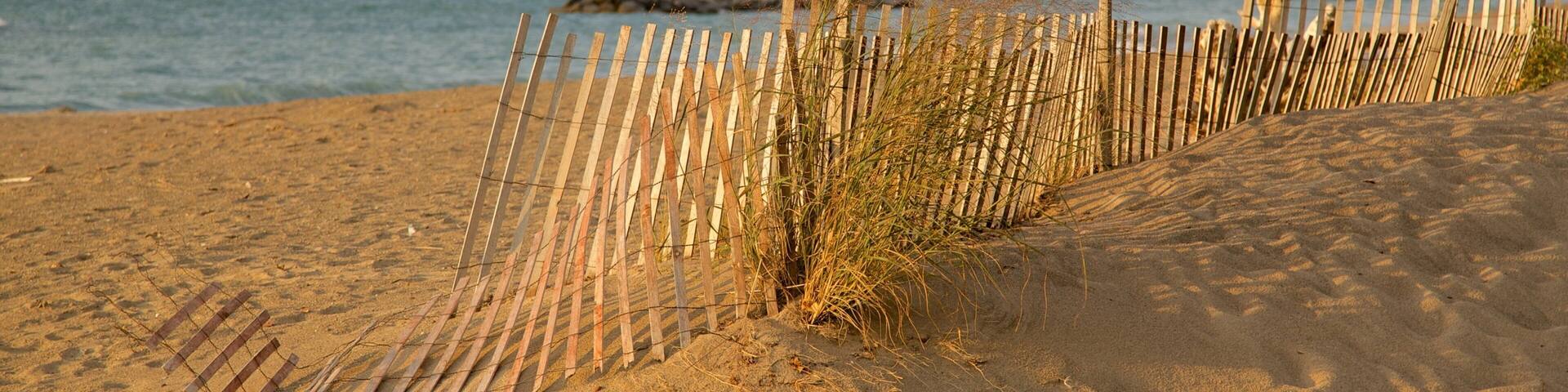 Erie featuring a sandy beach