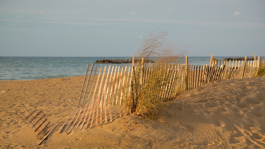 Erie featuring a sandy beach