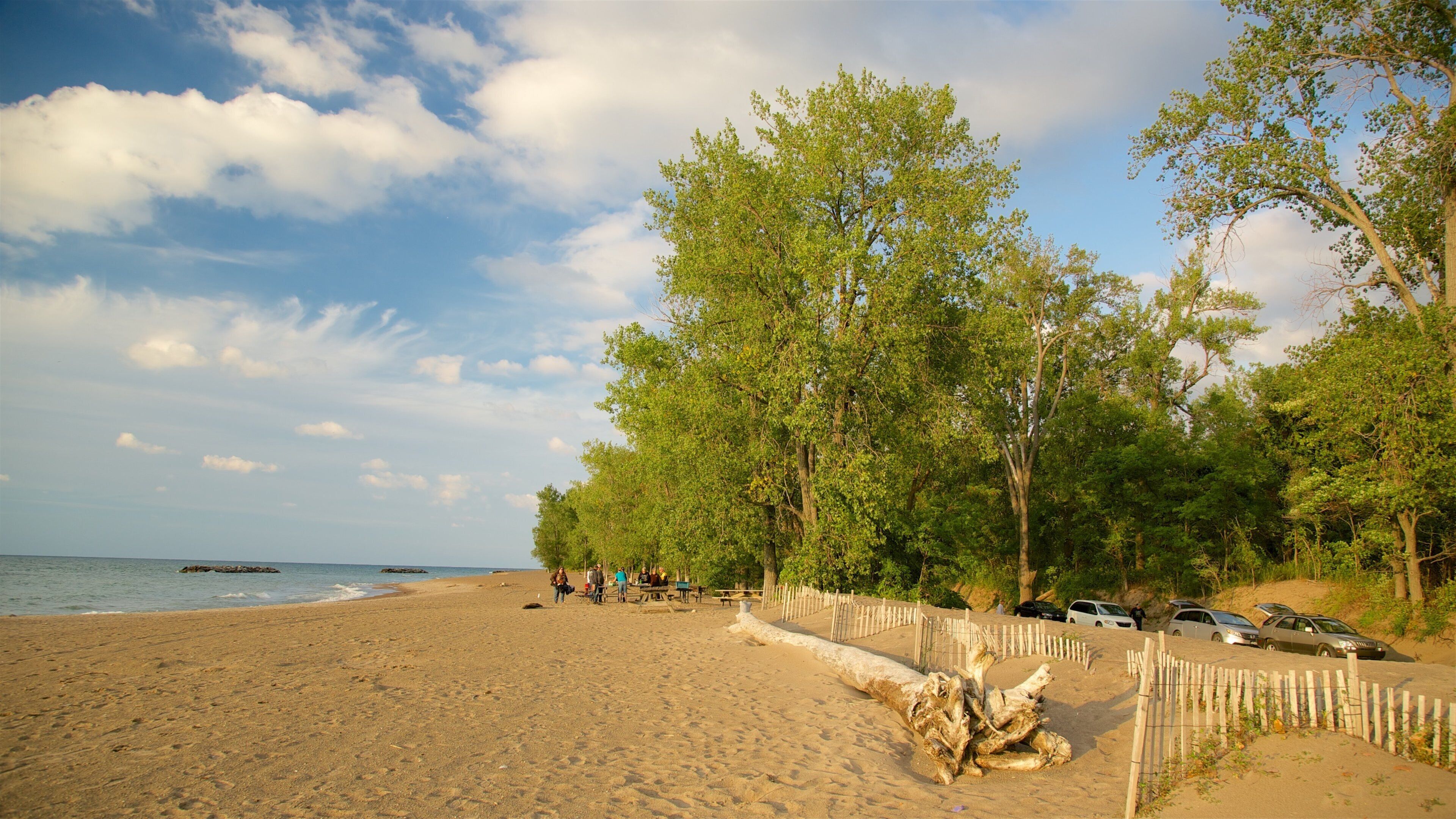 エリー どの含み 砂浜